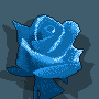 Błękitna róża
